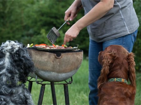 Two dogs sitting in front of an open grill with meat and vegetables on it