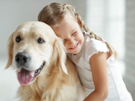 Fun Dog Facts for Kids | Providence Animal Hospital | Charlotte Veterinarian