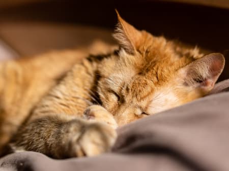 Blog -