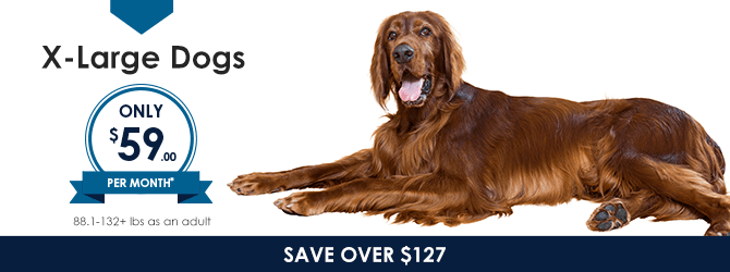 Extra Large Dogs | Providence Animal Hospital | Charlotte & Waxhaw Veterinarian